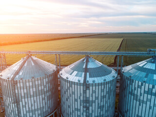 Grain silos on a green field background with warm sunset light. Grain elevator. Metal grain elevator in agricultural zone. Agriculture storage for harvest. Aerial view of agricultural factory. Nobody.