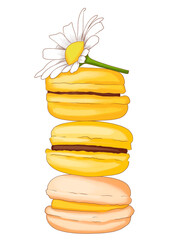 yellow macarons with flower watercolor illustration isolated