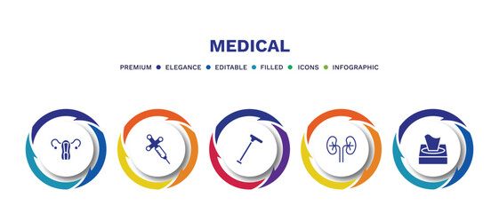 set of medical filled icons. medical filled icons with infographic template. flat icons such as uterus, anesthesia, walking stick, kidney, tissue paper vector.