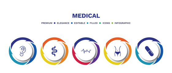 set of medical filled icons. medical filled icons with infographic template. flat icons such as ear, intestine, lifeline, fit, pill vector.