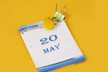 Calendar for May 20: desk calendar with yellow dandelion, number 20, name of the month May in English.Walk with Mary.