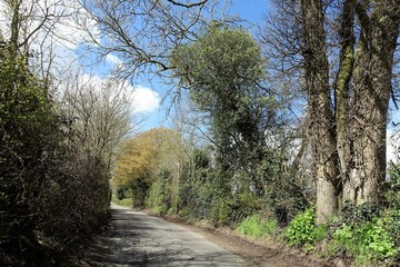 Country lane in Chorleywood, Hertfordshire, UK