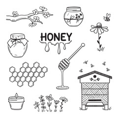 Set of honey and beekeeping elements in doodle style