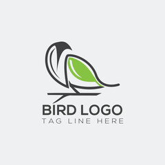 Creative line bird logo design for your company