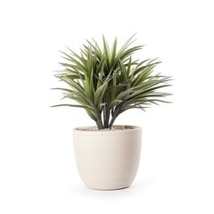  Artificial potted plant for home decor isolated on a white background, generative ai