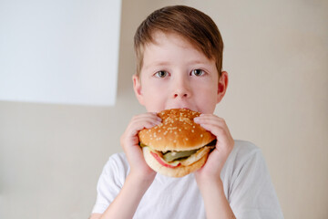 close-up portrait of a little boy eating a huge burger, on a white background