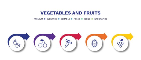 set of vegetables and fruits filled icons. vegetables and fruits filled icons with infographic template.flat icons such as hazelnut, cherry, carrot, rambutan, grape vector.