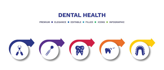 set of dental health filled icons. dental health filled icons with infographic template.flat icons such as tooth pliers, mouth mirror, inner tooth, filler, maxilla vector.
