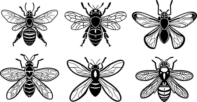 wasps vector logo set simple design black and white stencil insects