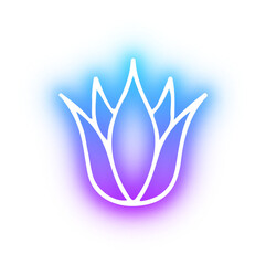 Collection of nature neon