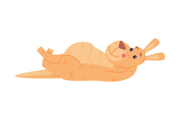 Funny Kangaroo Marsupial Animal Lying on the Ground Vector Illustration