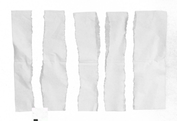 tissue paper on transparent background png file