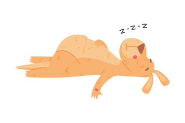 Funny Kangaroo Marsupial Animal Sleeping and Snoring Lying on the Ground Vector Illustration