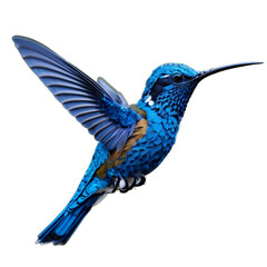 Blue-headed humming bird, isolated, transparent, PNG, no bacground. Generative AI.