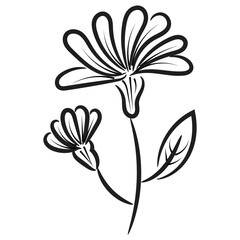 Hand drawn floral doodle background. Flat design abstract leaves design for greeting card invitation