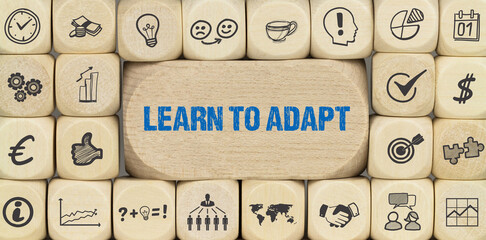 Learn to Adapt	