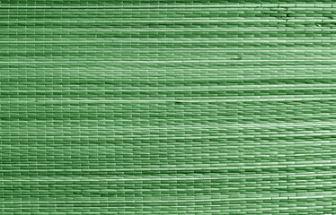 Natural bamboo wallpaper texture in green color.