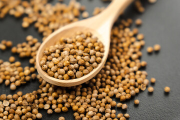 Coriander seeds, close-up, Chinese parsley, dhania and cilantro, used as aromatic and flavorful spice.