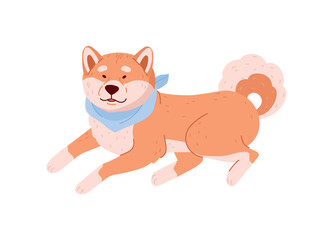 Lying shiba inu Japan dog in blue scarf flat style, vector illustration