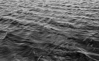 Small waves on the surface of the water