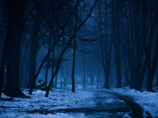 Gloomy winter woods at dusk. Evening mysterious forest with snow in the fog.