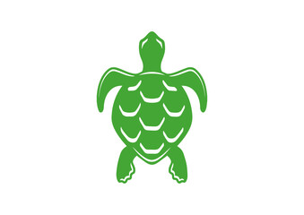 vector turtle animal drawing designs