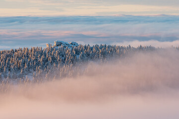 Wintermood sunrise in a mountains with frozen stones and spruce trees with inversion in Jeseniky...