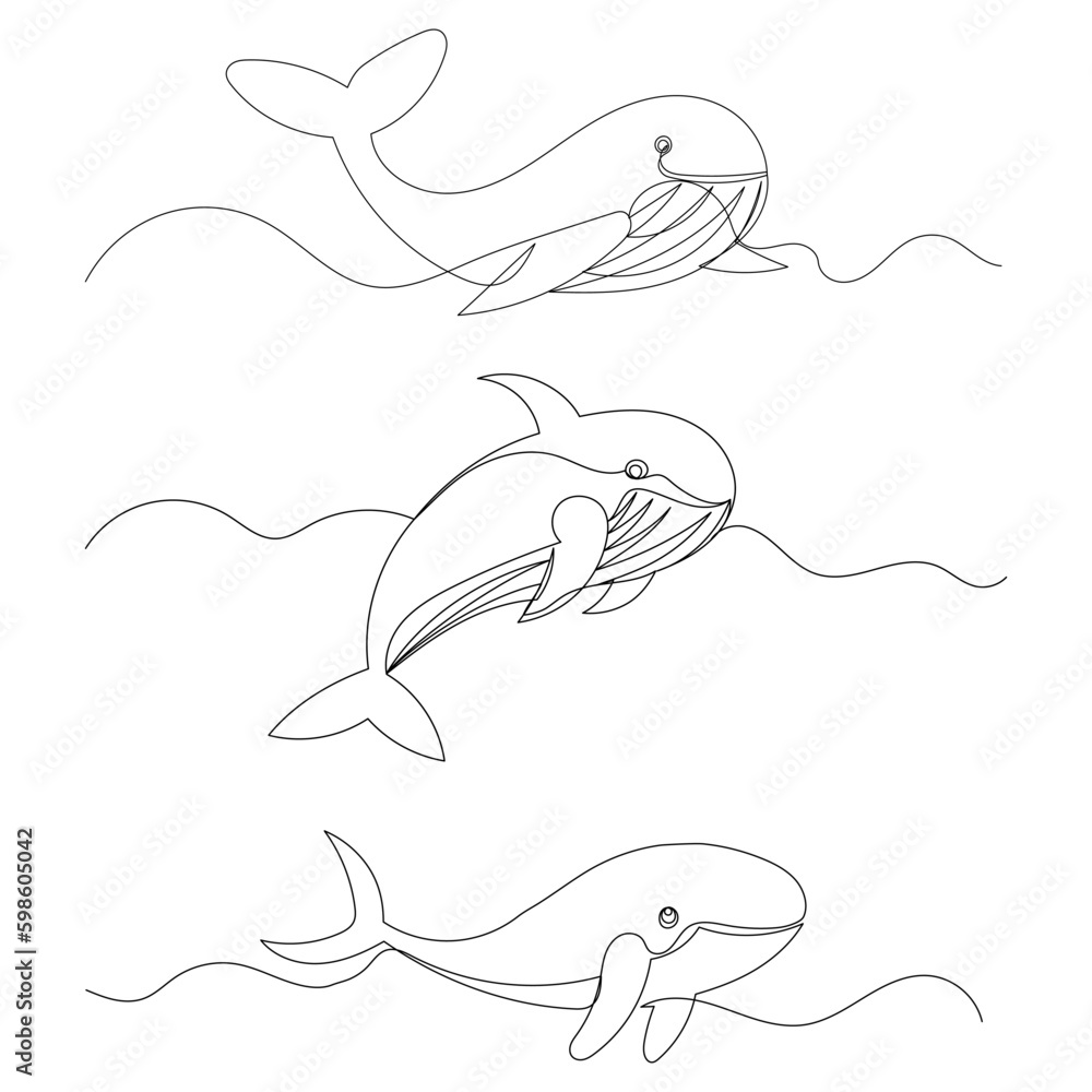 Wall mural whale drawing in one continuous line isolated vector
