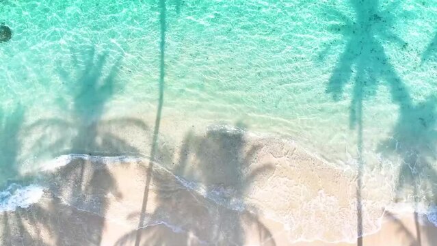 Summer Palm trees shadow on the sandy beach and turquoise Tropical beach with blue background