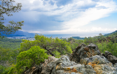 Fototapety na wymiar - Fototapeta24.pl