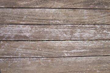 Empty dry wood texture background