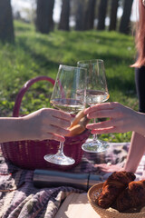 Closeup on woman hands holding two wine glasses on a picnic