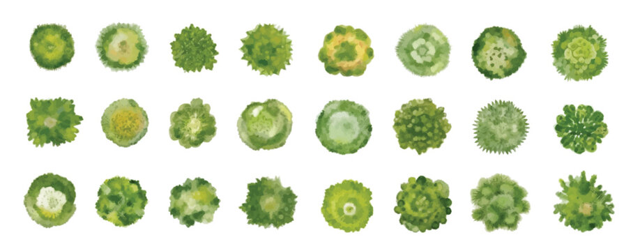Various green trees, bushes and shrubs, top view for landscape design plan. Vector watercolor illustration, isolated on white background.