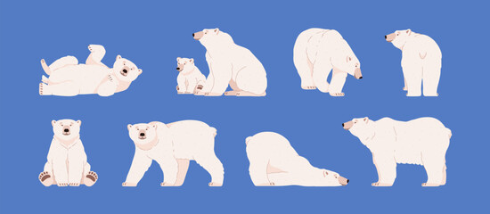 Polar bears adults and baby characters set flat vector illustration isolated. © Kudryavtsev