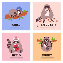 Set of squared banners with raccoons flat style, vector illustration
