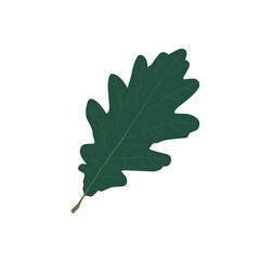 Aesthetic dark green leaf illustration 