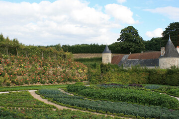 Fototapeta na wymiar medieval castle and french-style vegetable garden in touraine (france)