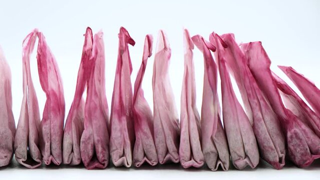 Used tea bags are dried in a row by the window sill. Compostable, Reusable or Trash