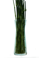 Fototapeta premium Lots of twigs arrange to decorate the bouquet