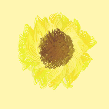 Hand-drawn brush blooming sunflower abstract
