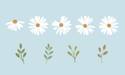 Set of daisy flower and green branch icon sign on green mint background vector.