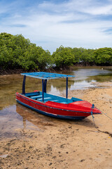 Fototapeta na wymiar A colorful boat at the mangrove forest, Nusa Lembongan, Bali, Indonesia.