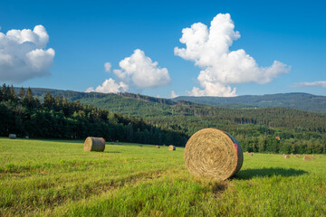 hay bales on a meadow under a cloudy summer sky. Agriculture