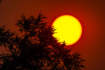 atardeceres magicos