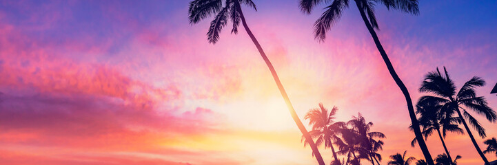 Silhouette coconut palm tree on sunset sky background