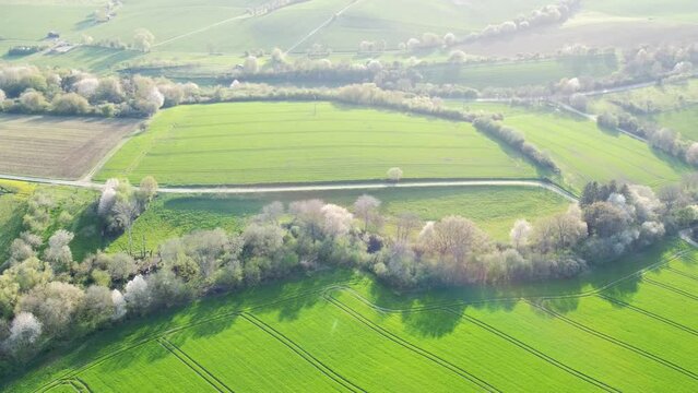 Drohne fliegt &uuml;ber Auenwald, B&auml;ume und Heckenstreifen im Fr&uuml;hjahr inmitten von landwirtschaftlichen Fl&auml;chen, Luftaufnahme