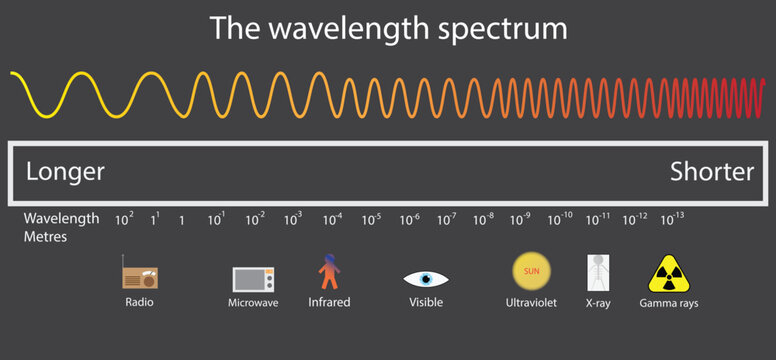 illustration of physics, The wavelength spectrum, wave lengths, frequency and temperature, Electromagnetic wave structure scheme, Physics infographic elements