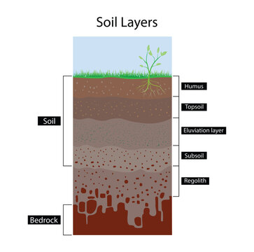 illustration of physics,Soil layer infographics, Geology soil layer and ground structure diagram, earth texture horizon, subsoil land and underground, cross section