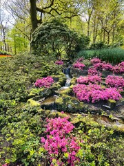 Fototapeta premium Forest waterfall