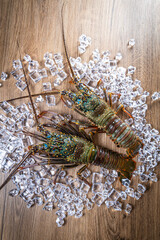 Obraz na płótnie Canvas Two Ise lobsters from Japan were placed on a wooden board background with ice